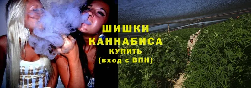 где можно купить   Ворсма  Шишки марихуана SATIVA & INDICA 